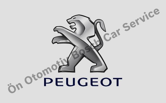 Samsun Peugeot Servisi